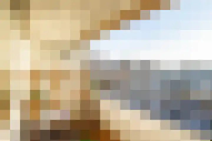 Androsdreef 96 Utrecht thumbnail 16