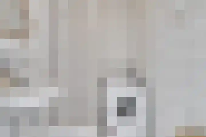 Androsdreef 96 Utrecht thumbnail 27