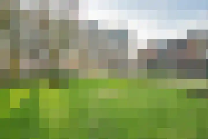 Androsdreef 96 Utrecht thumbnail 41