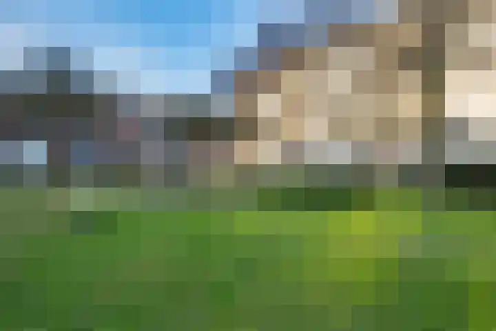 Androsdreef 96 Utrecht thumbnail 42