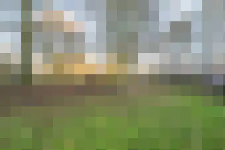 Androsdreef 96 Utrecht thumbnail 45