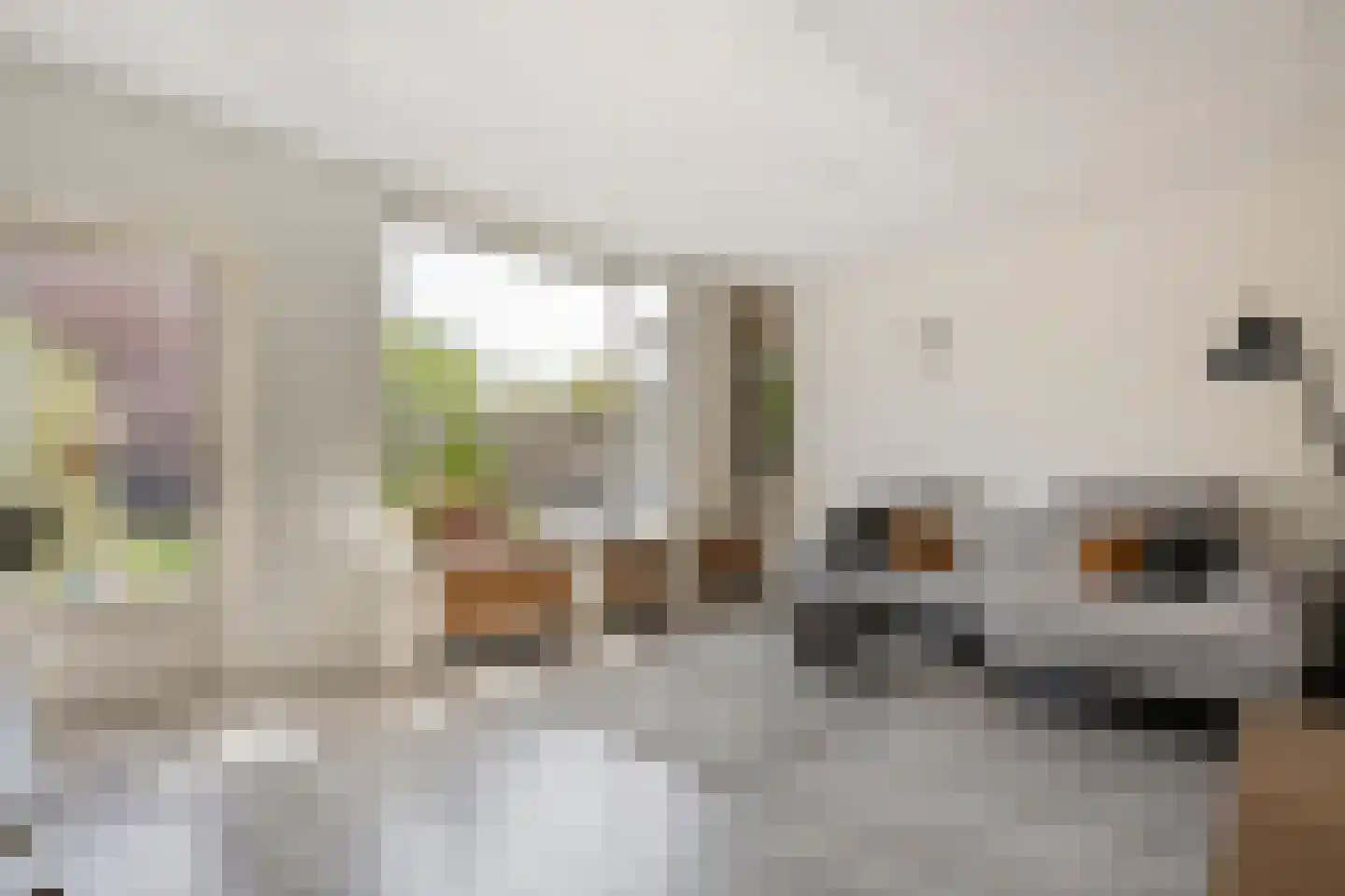 Anekingepad 14 Meppel thumbnail 15