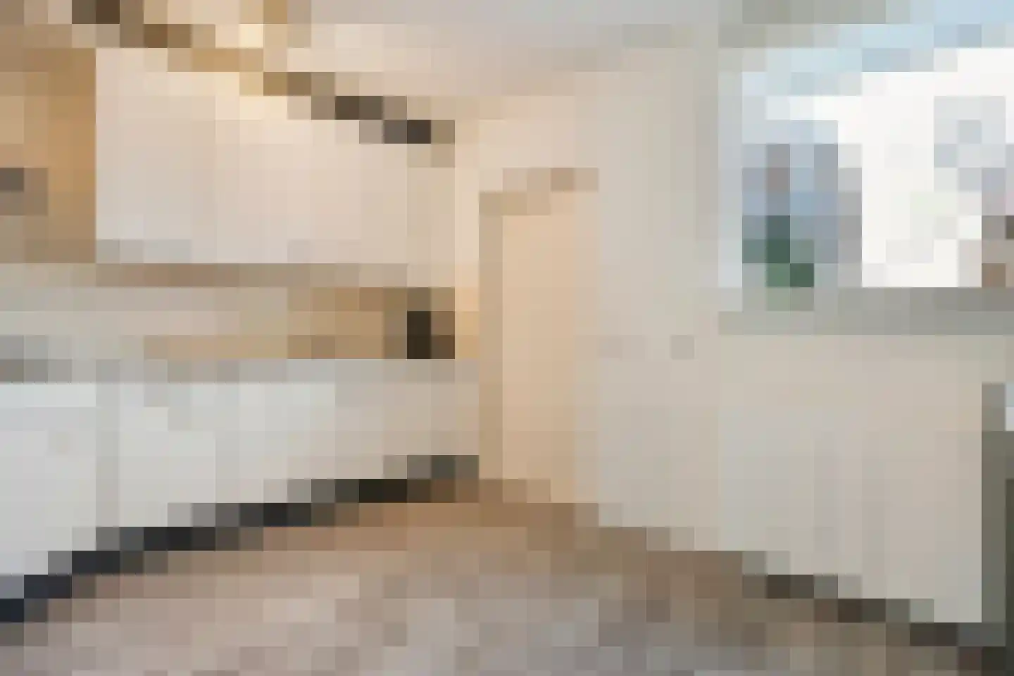 Anekingepad 14 Meppel thumbnail 20