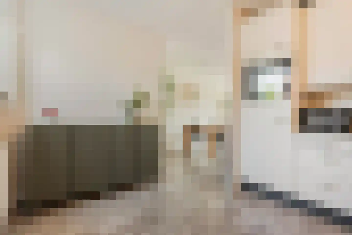 Anekingepad 14 Meppel thumbnail 22