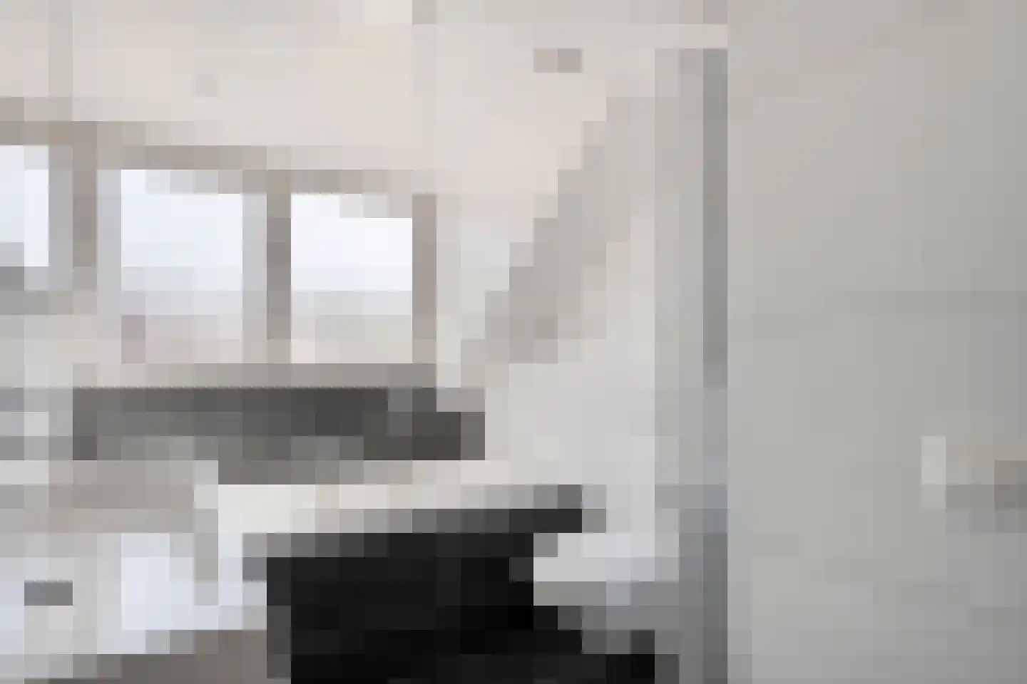 Anekingepad 14 Meppel thumbnail 29