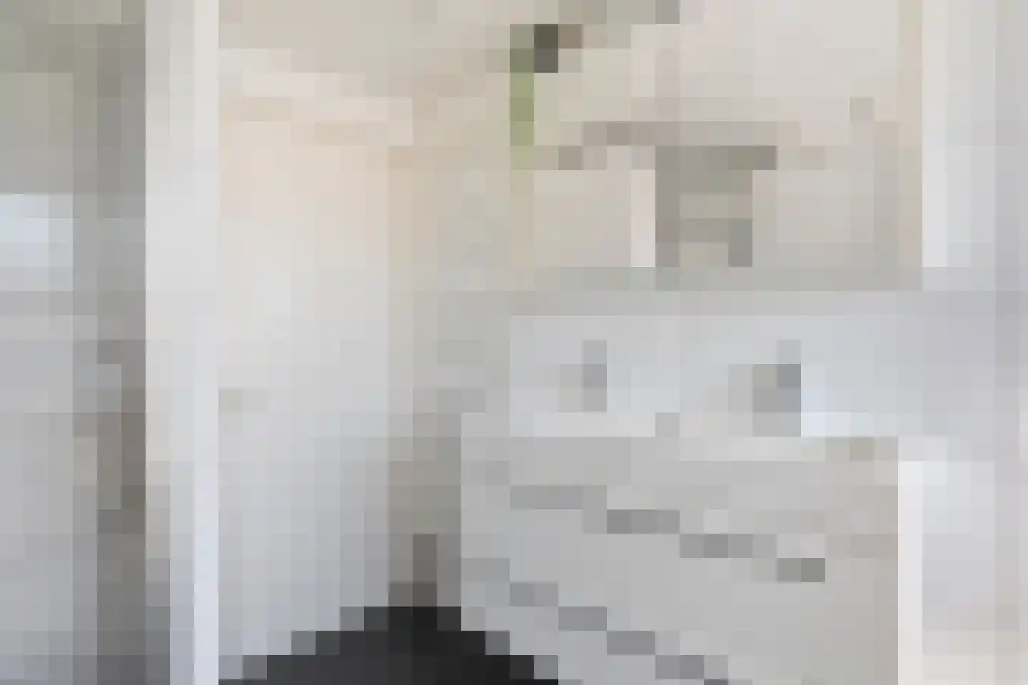 Anekingepad 14 Meppel thumbnail 30