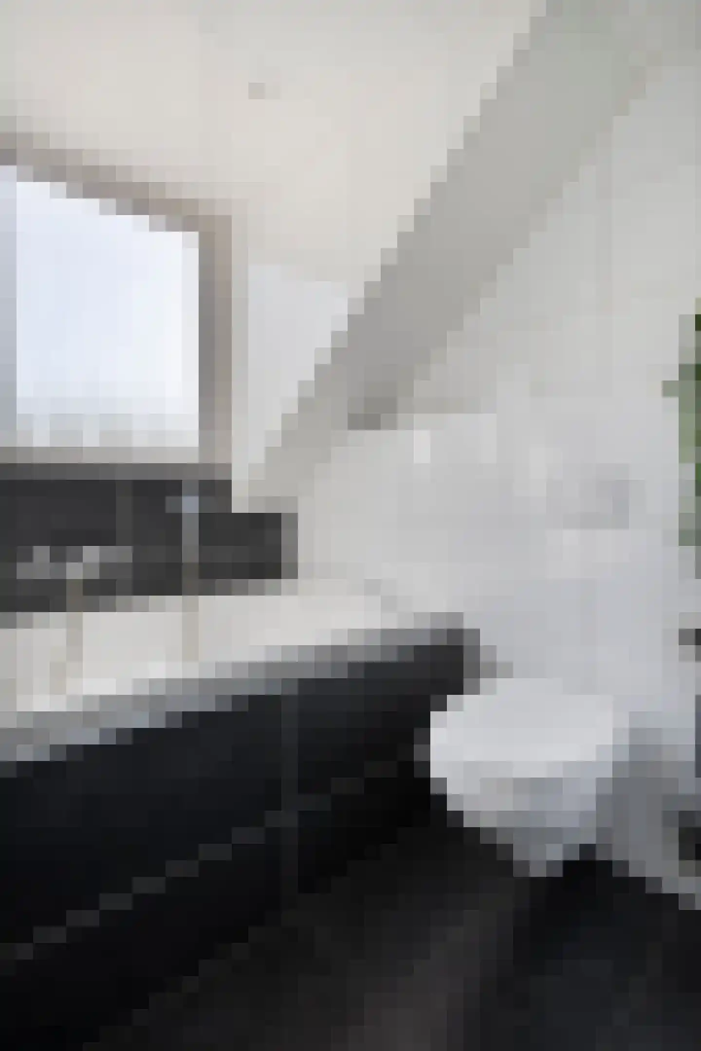 Anekingepad 14 Meppel thumbnail 32