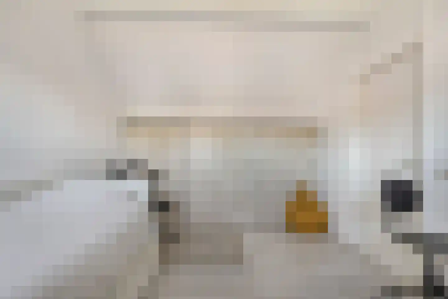 Anekingepad 14 Meppel thumbnail 37