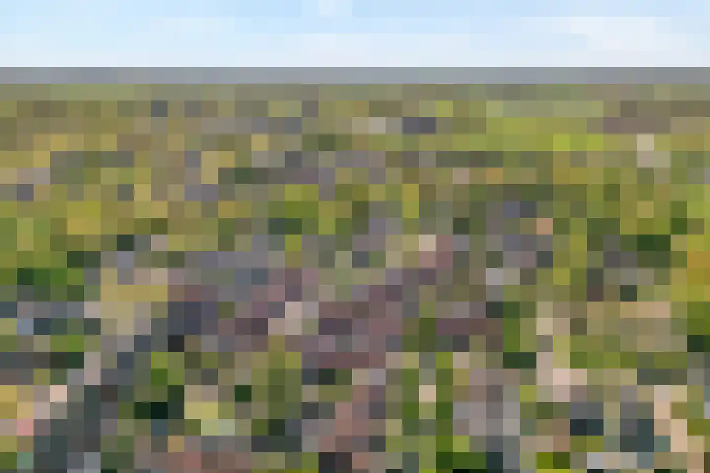Anekingepad 14 Meppel thumbnail 4