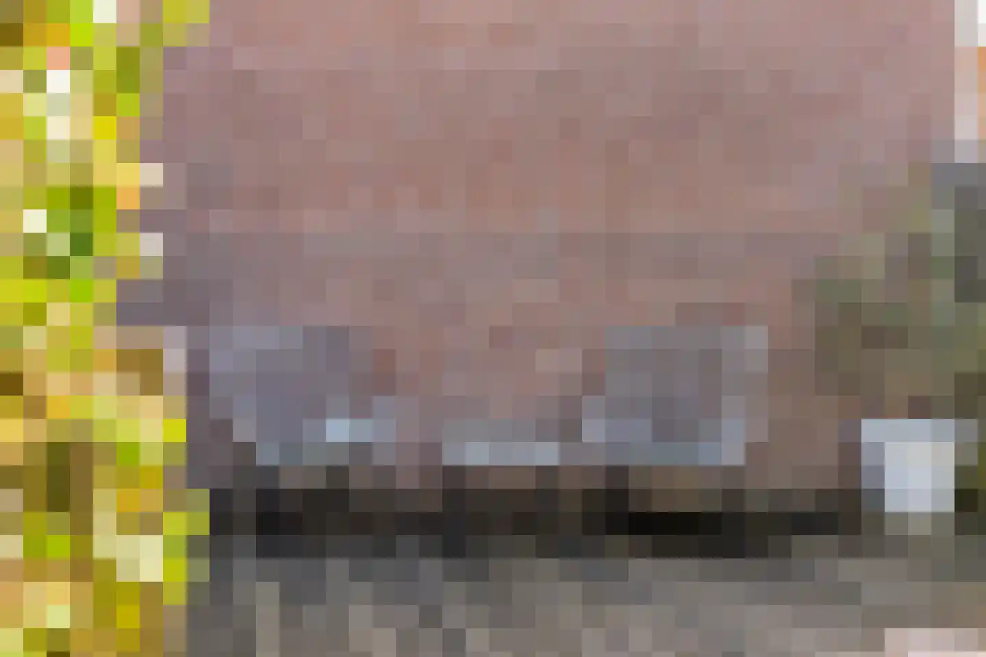 Anekingepad 14 Meppel thumbnail 40