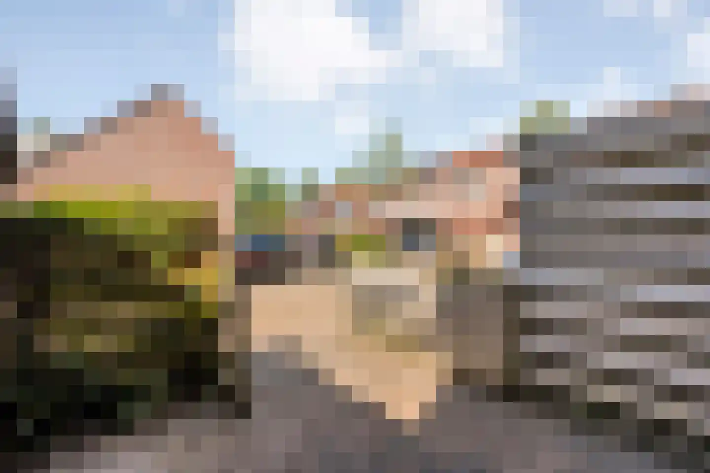 Anekingepad 14 Meppel thumbnail 7