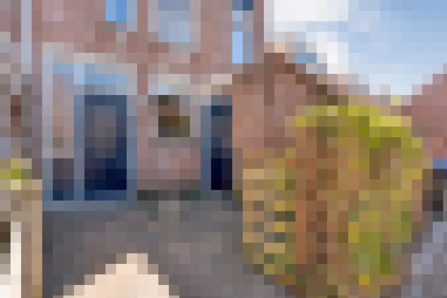 Anekingepad 14 Meppel thumbnail 8