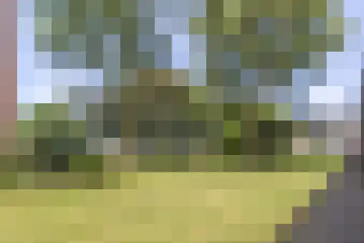 Anemonenlaan 13 Beverwijk thumbnail 27
