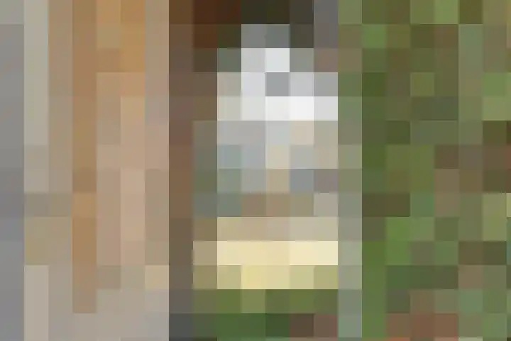 Anemonenlaan 76 Hoogkarspel thumbnail 30