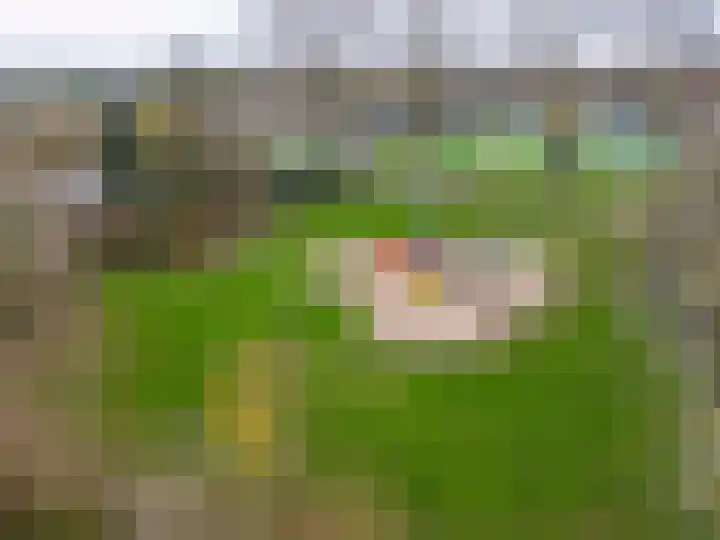 Anemonenlaan 94 Hoogkarspel thumbnail 43