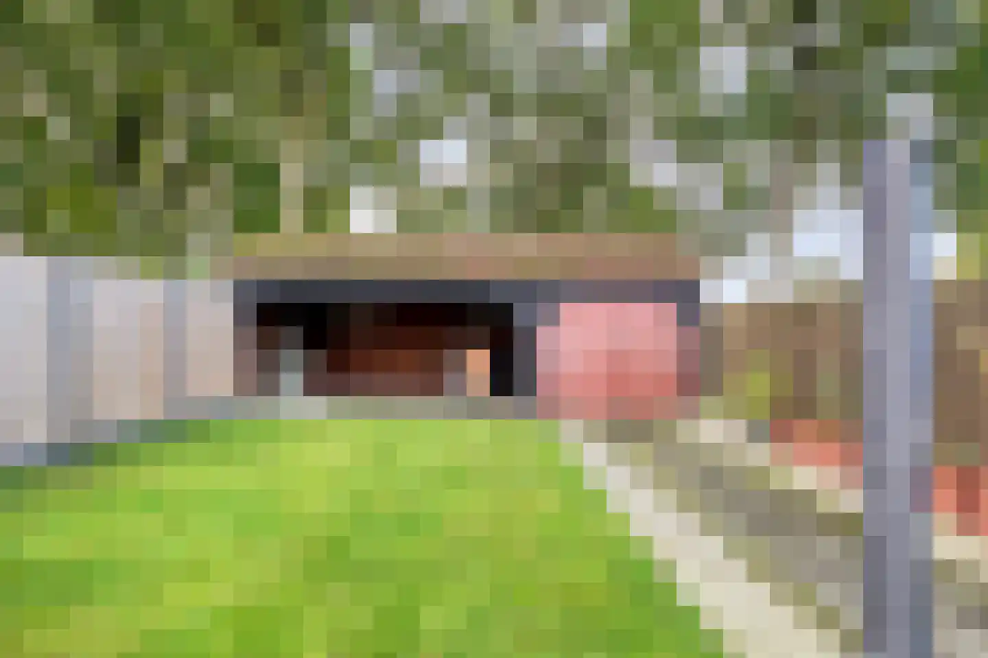 Anemonenstraat 10 Musselkanaal thumbnail 33