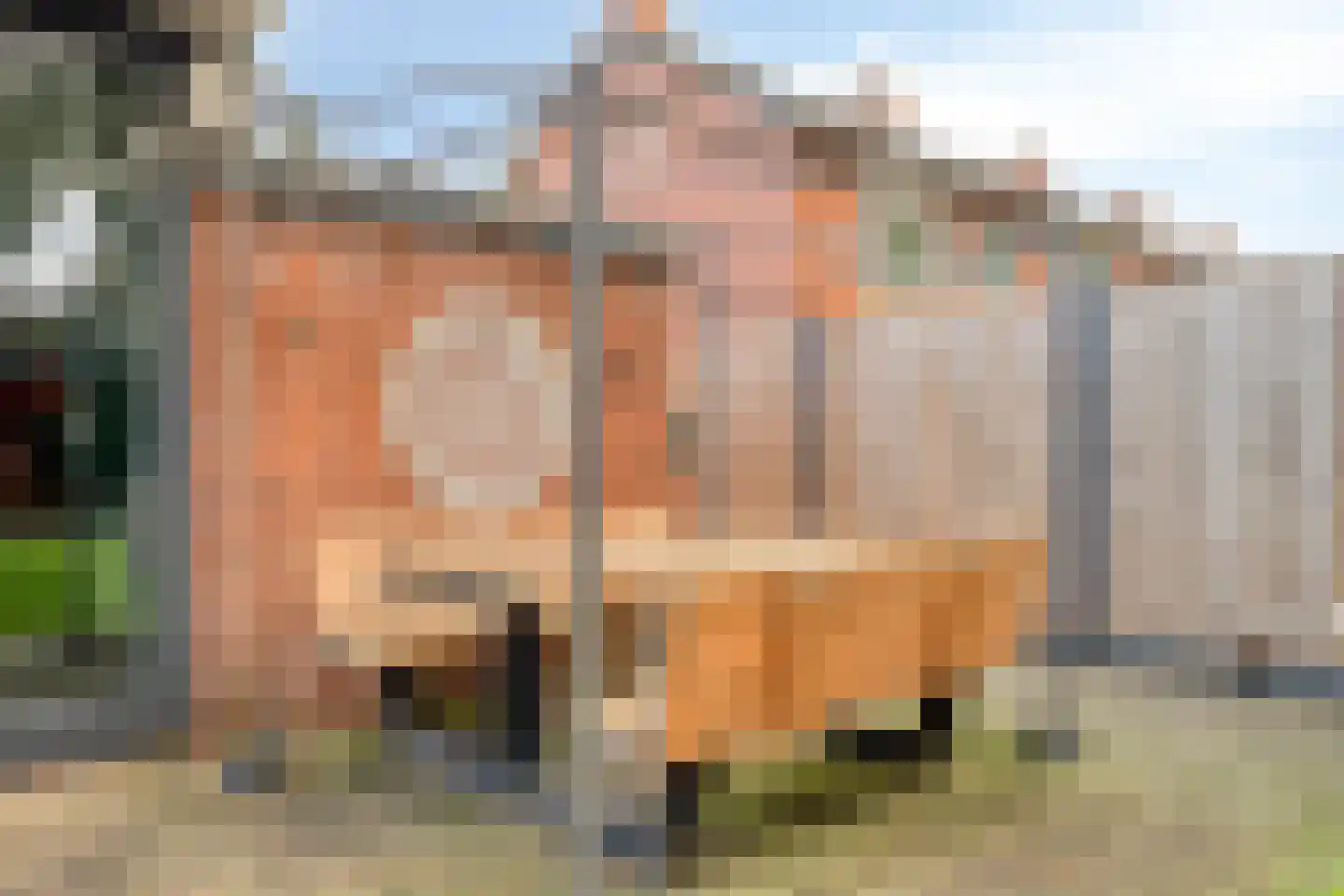 Anemonenstraat 10 Musselkanaal thumbnail 34