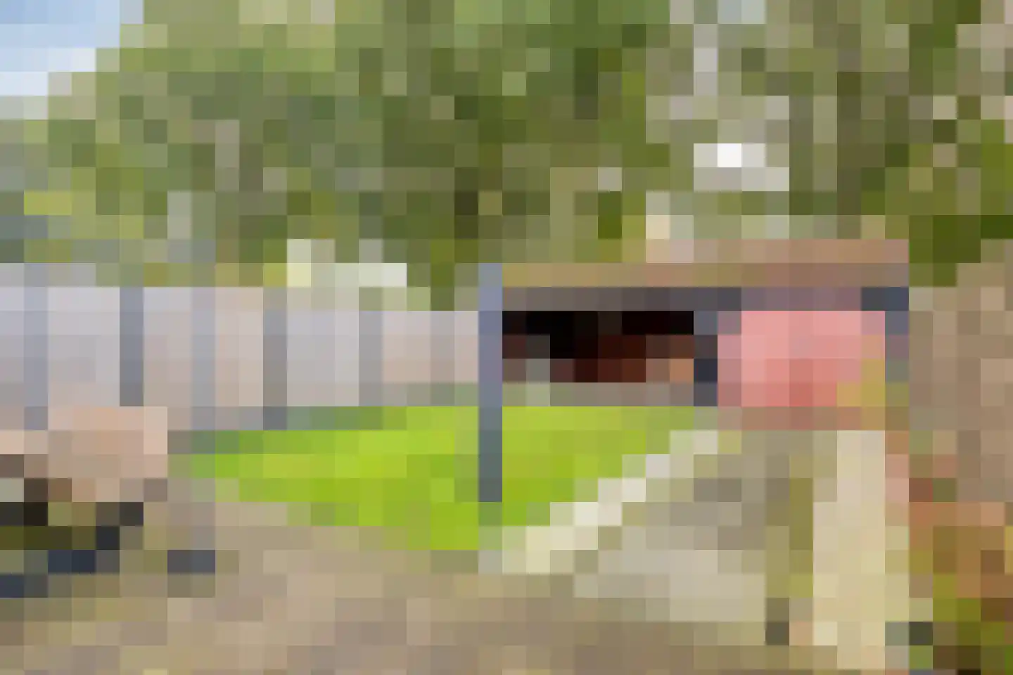 Anemonenstraat 10 Musselkanaal thumbnail 7