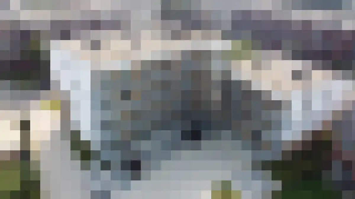 Anemonenstraat 11 Geleen foto 3