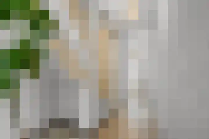 Anemonenstraat 13 Noorden thumbnail 21