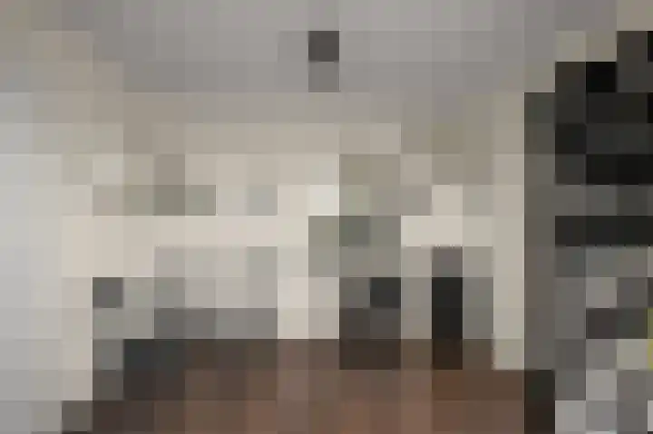 Anemonenstraat 13 Noorden thumbnail 32