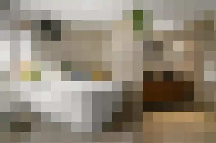Anemonenstraat 13 Noorden thumbnail 35