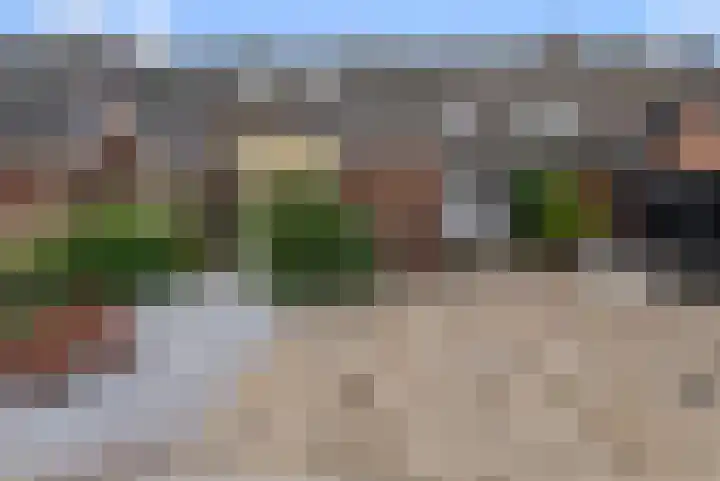 Anemonenstraat 13 Noorden thumbnail 4