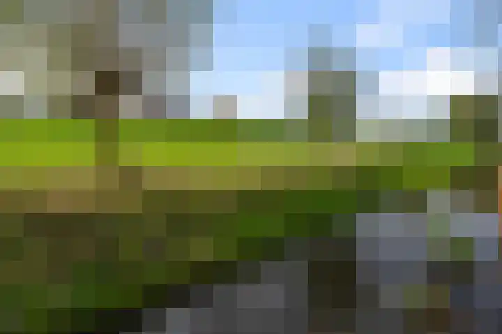 Anemonenstraat 13 Noorden thumbnail 56