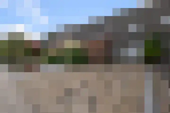 Anemonenstraat 13 Noorden thumbnail 60