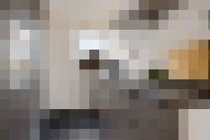 Anemonenstraat 15 Musselkanaal thumbnail 10