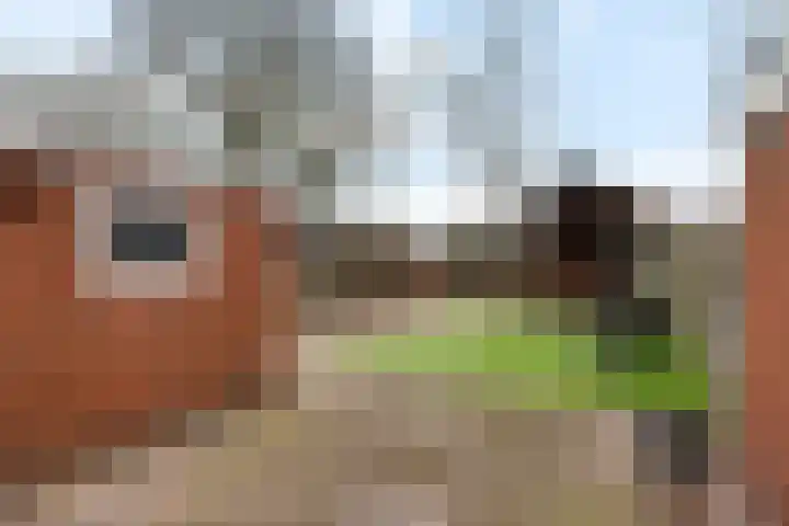 Anemonenstraat 15 Musselkanaal thumbnail 35