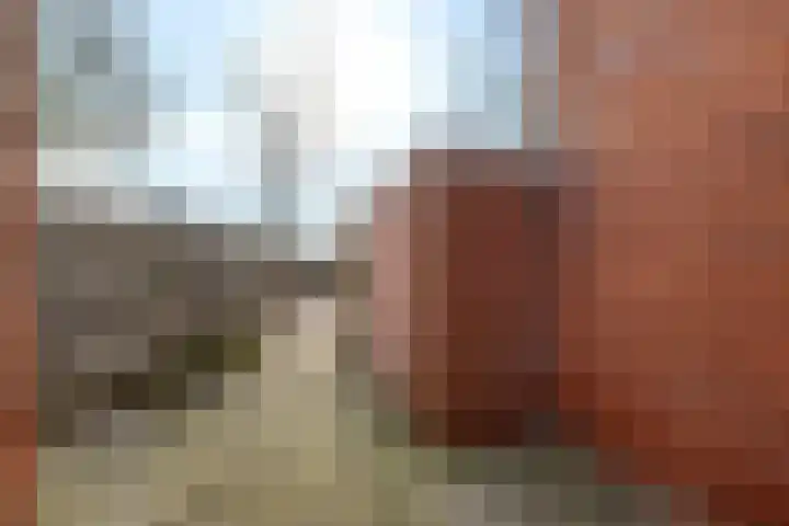 Anemonenstraat 15 Musselkanaal thumbnail 38