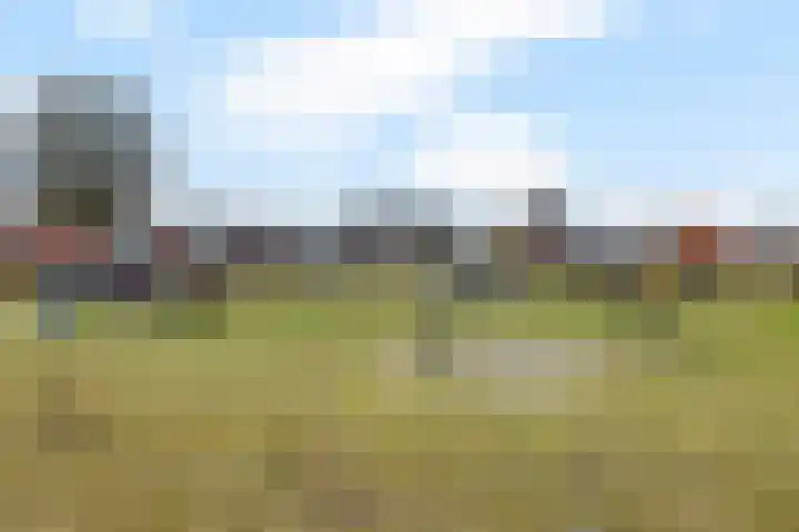 Anemonenstraat 15 Musselkanaal thumbnail 4