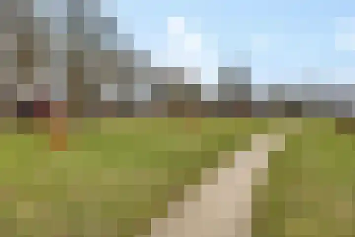 Anemonenstraat 15 Musselkanaal thumbnail 5