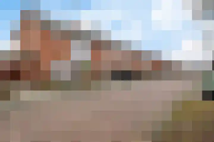 Anemonenstraat 15 Musselkanaal thumbnail 7