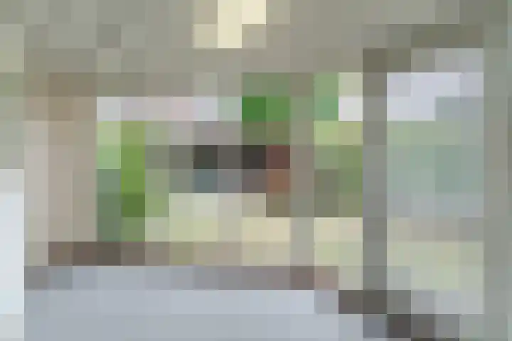 Anemonenstraat 15 Veghel thumbnail 22