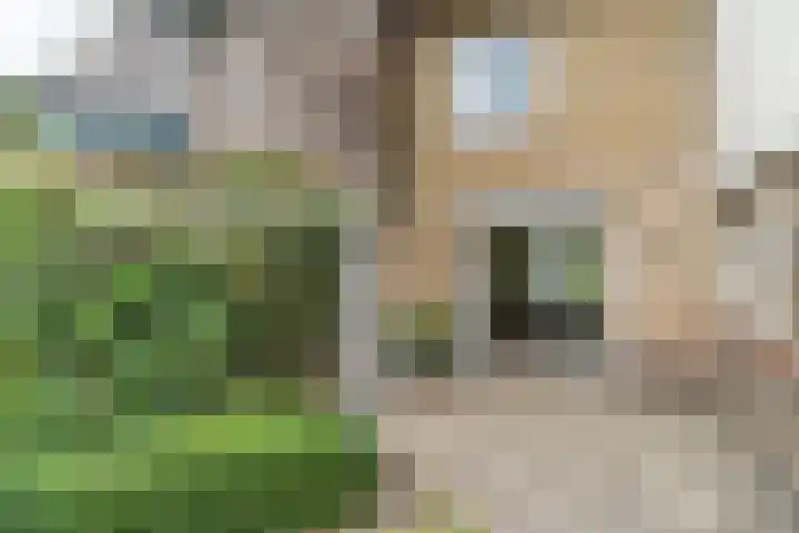 Anemonenstraat 15 Veghel thumbnail 36