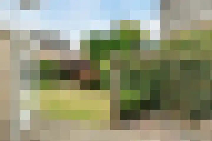 Anemonenstraat 15 Veghel thumbnail 37