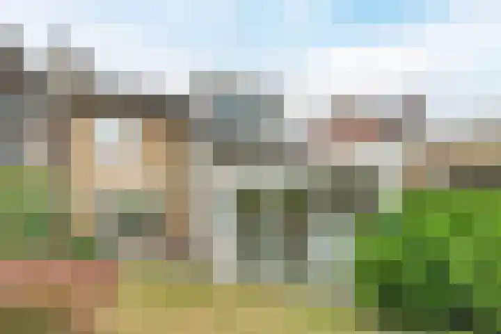 Anemonenstraat 15 Veghel thumbnail 41