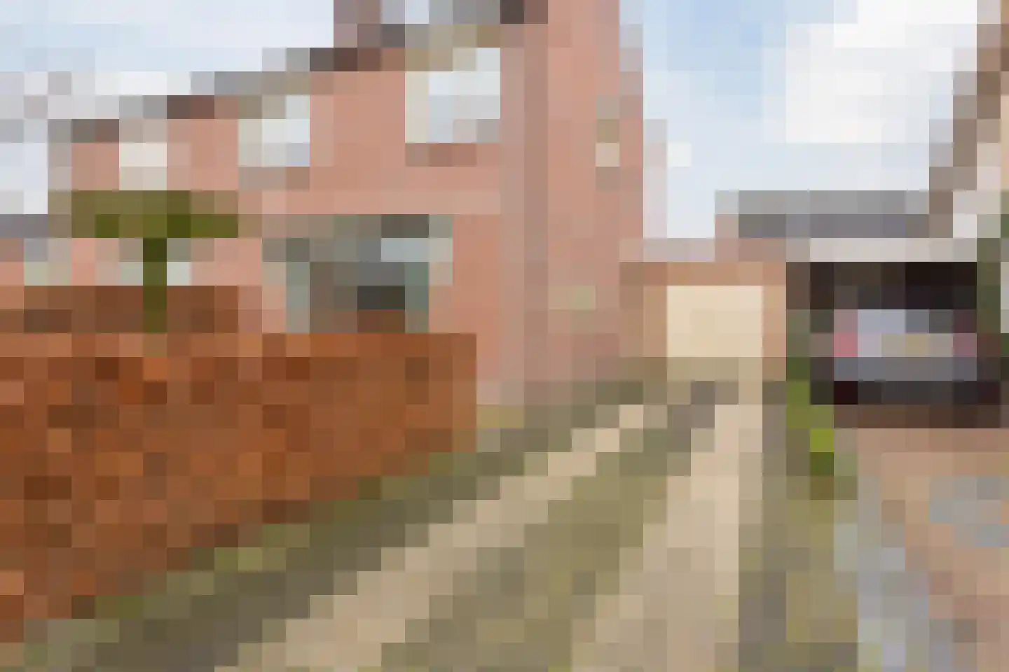 Anemonenstraat 17 Veghel thumbnail 5