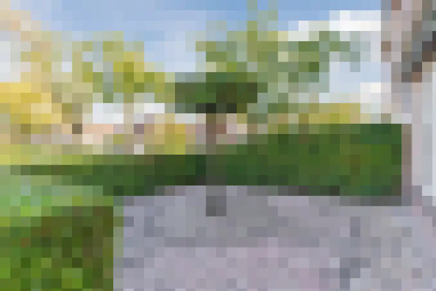Anemonenstraat 17 Veghel thumbnail 6