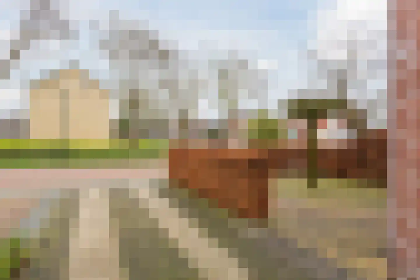 Anemonenstraat 17 Veghel thumbnail 6
