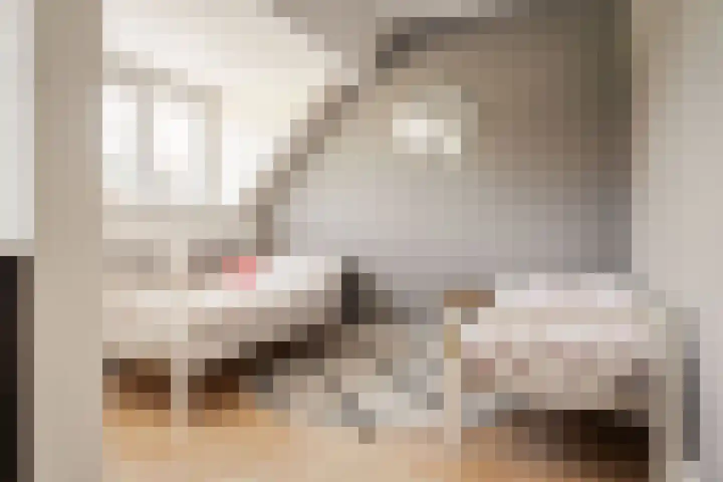 Anemonenstraat 2 Santpoort-Noord thumbnail 20