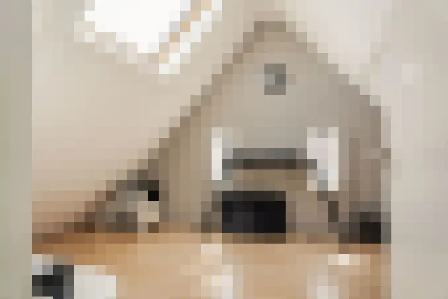 Anemonenstraat 2 Santpoort-Noord thumbnail 27