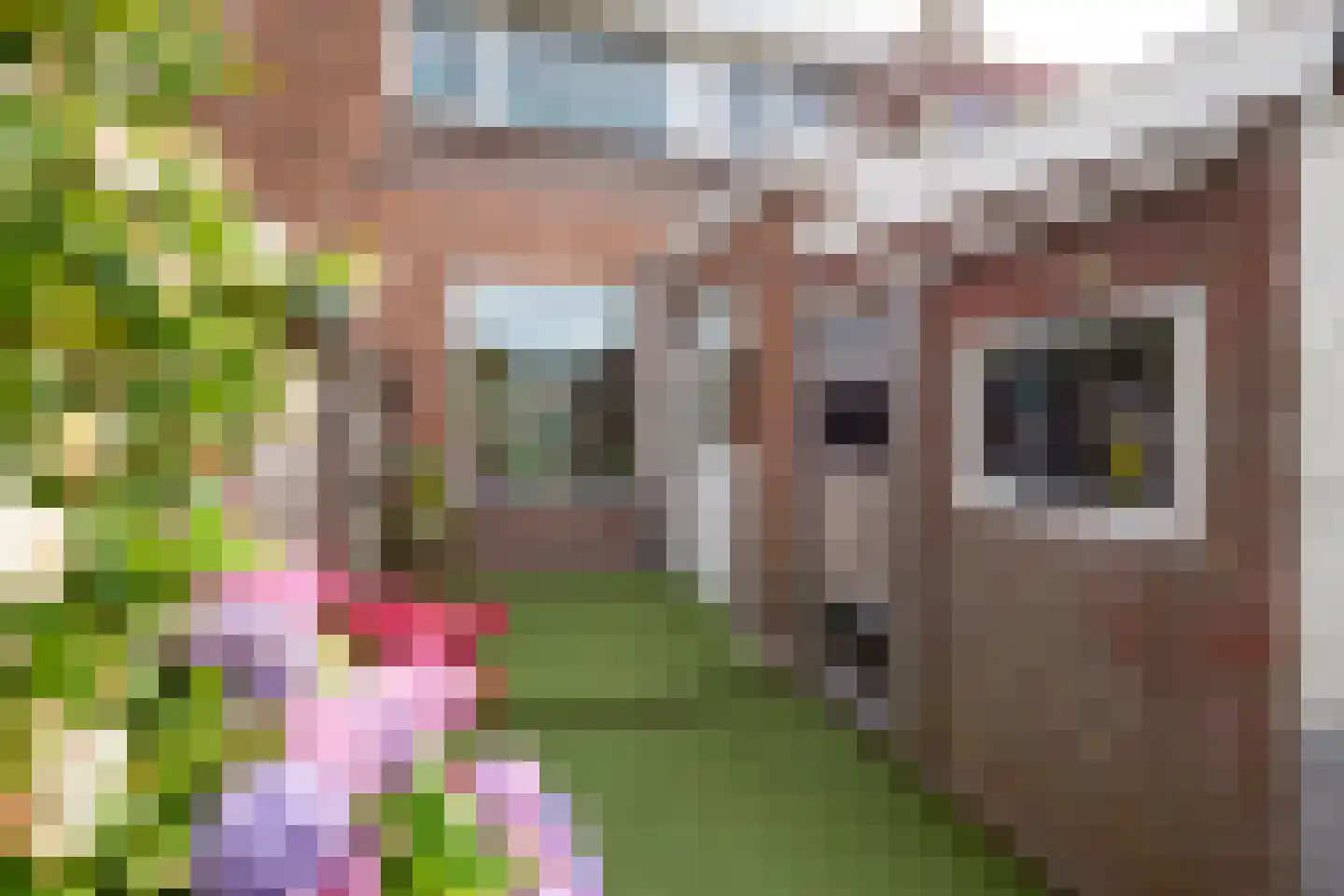 Anemonenstraat 21 Santpoort-Noord thumbnail 41