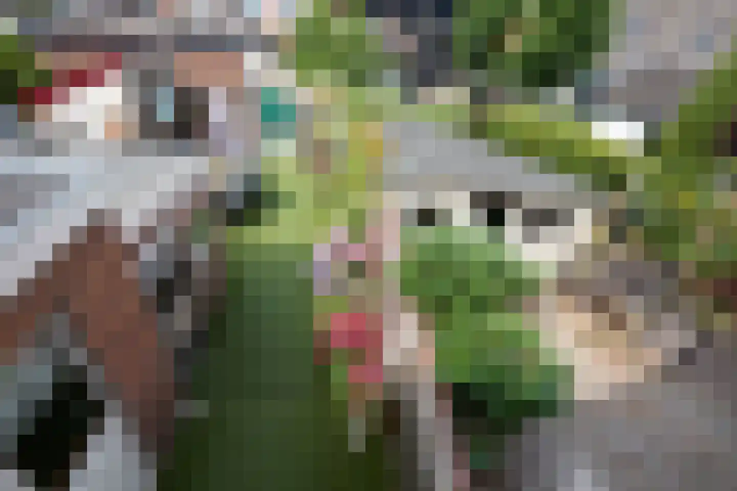 Anemonenstraat 21 Santpoort-Noord thumbnail 47