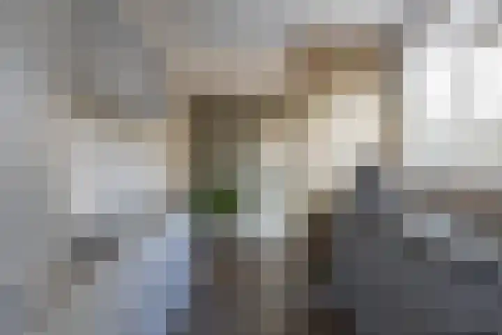 Anemonenstraat 3 Obdam thumbnail 4