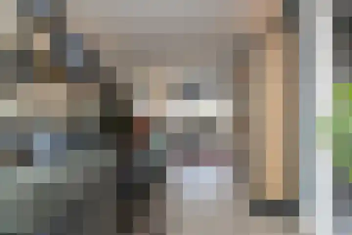 Anemonenstraat 37 Lisse thumbnail 10