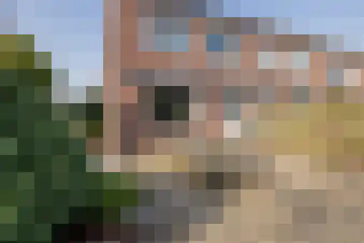Anemonenstraat 37 Lisse thumbnail 16