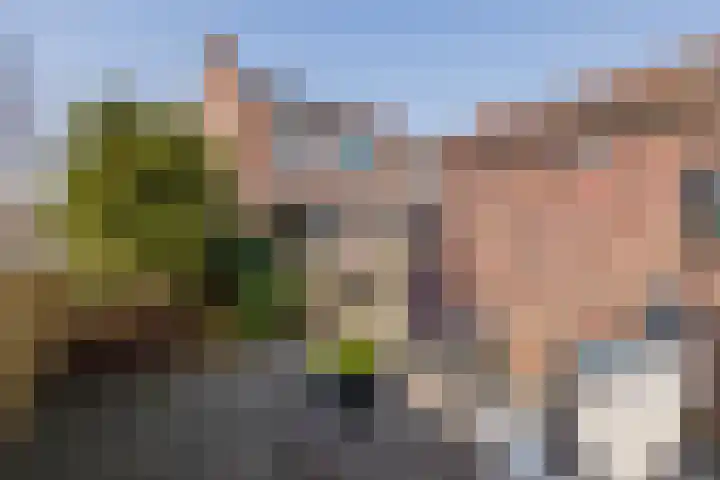 Anemonenstraat 37 Lisse thumbnail 18